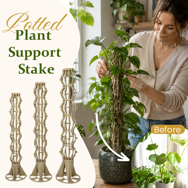 Garden Plant Support Stakes – For Potted Houseplants & Outdoor Greenery