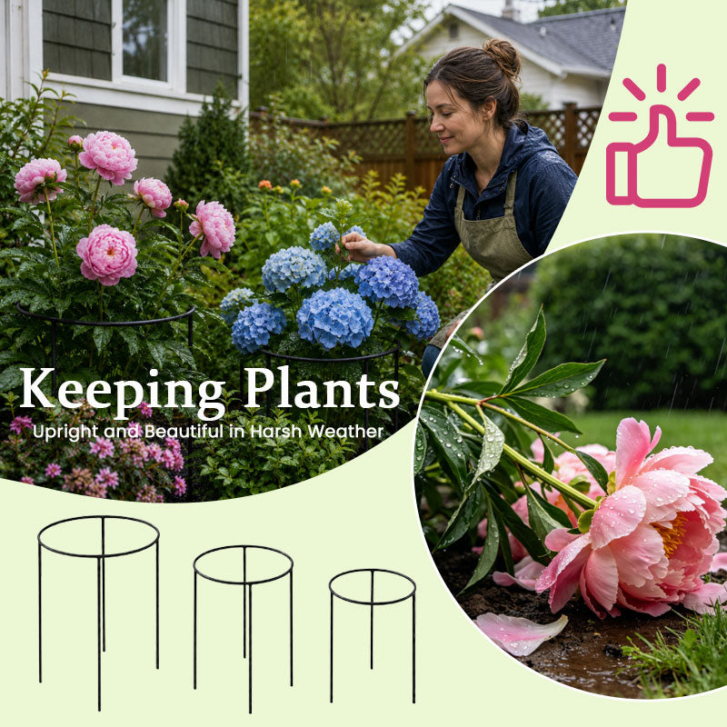 Runder Pflanzenstützrahmen – Gartenstängelstützring