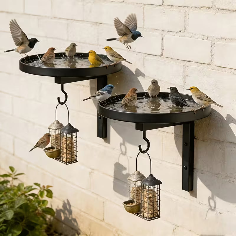 2-in-1 Wall Mounted Bird Bath & Feeder Hook | Weatherproof Garden Wildlife Accessory