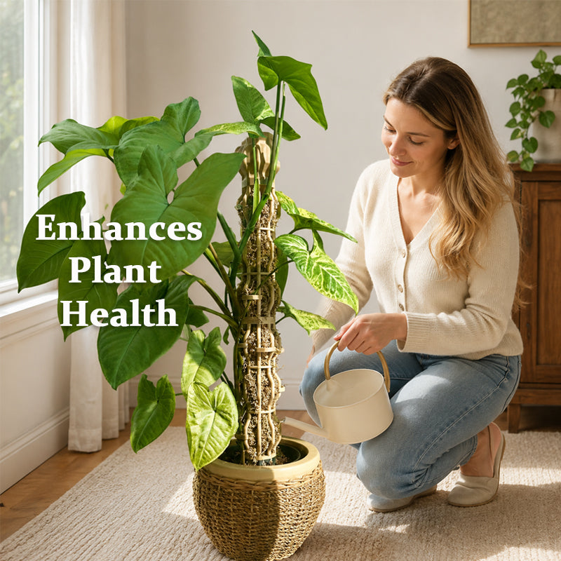 Garden Plant Support Stakes – For Potted Houseplants & Outdoor Greenery