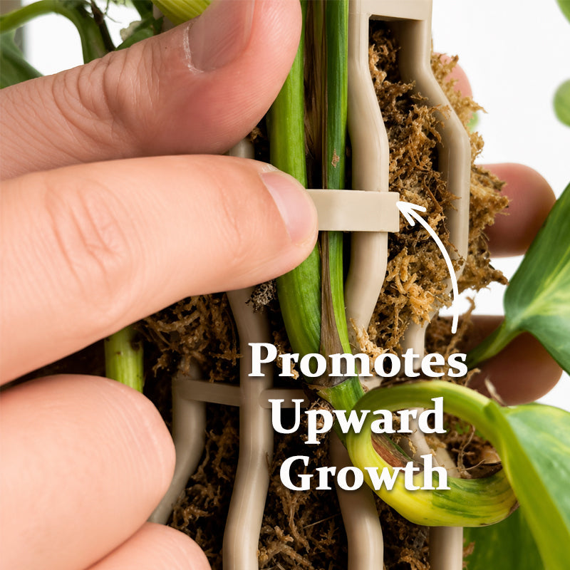 Garden Plant Support Stakes – For Potted Houseplants & Outdoor Greenery