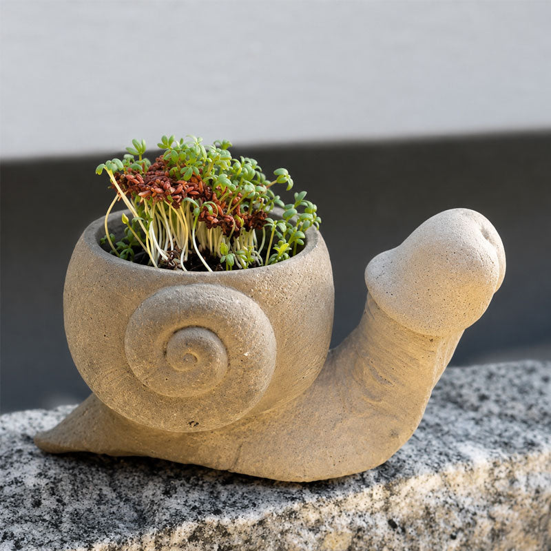 Decorative Novelty Plant Pots | Fun Shaped Planters For UK Garden & Patio