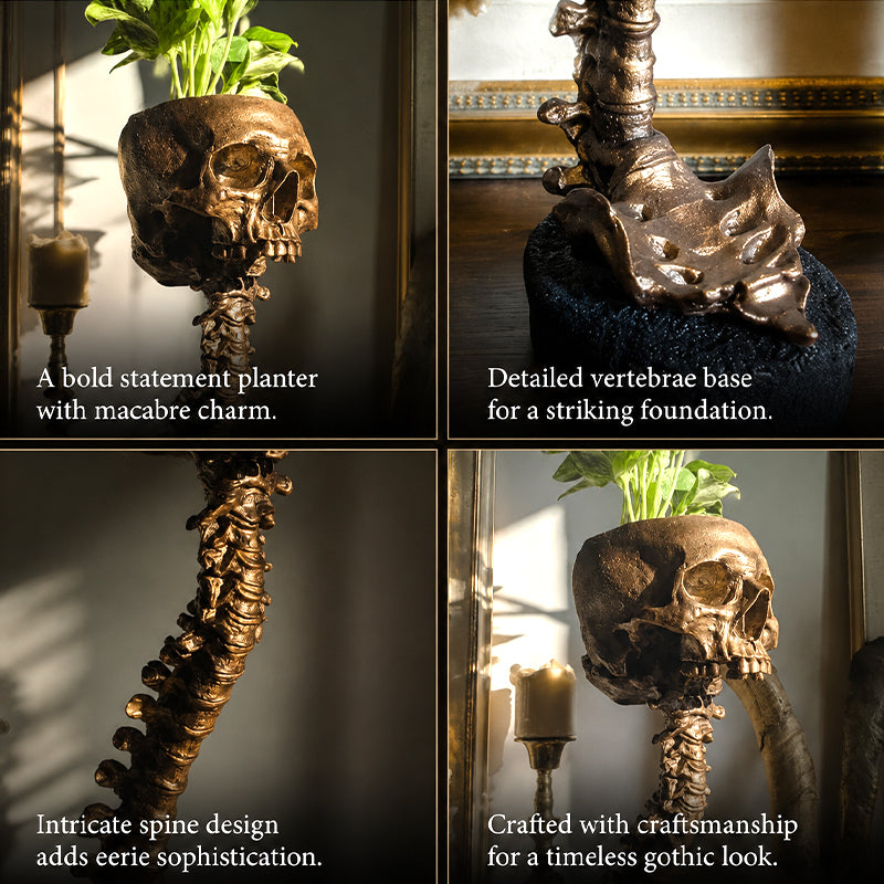 Quirky Spooky Skull Plant Pot, Skeleton Ornament Vase For Gothic Rooms