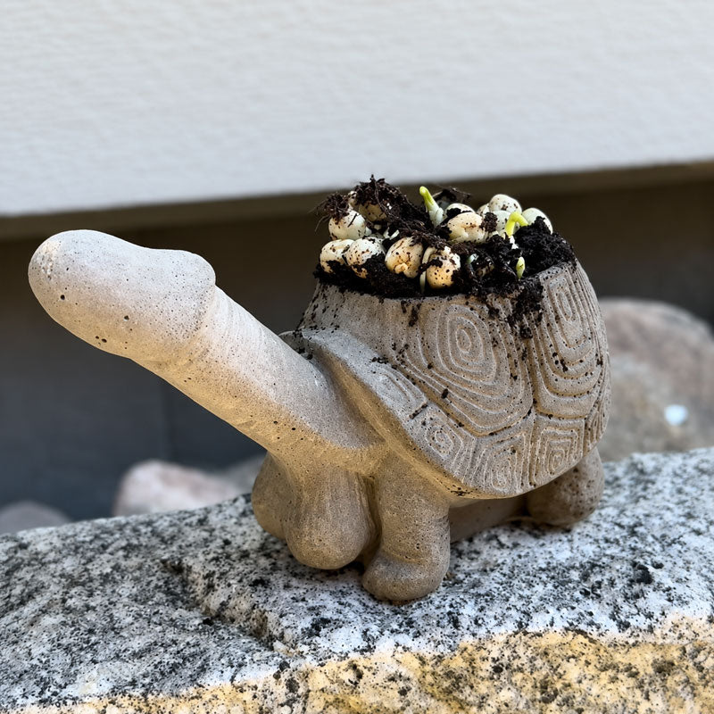 Decorative Novelty Plant Pots | Fun Shaped Planters For UK Garden & Patio
